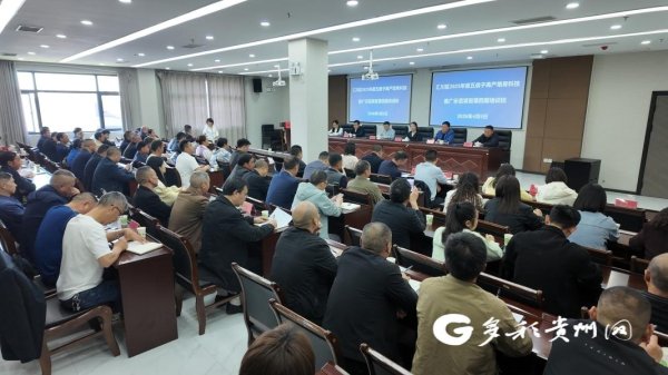 汇川区：林业专家“传经送宝”