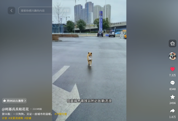宣城市文旅局发布《“黄站长”相关情况说明》：将慎重研究“小黄”的认领收养等后续工作