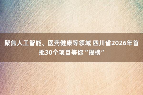 聚焦人工智能、医药健康等领域 四川省2026年首批30个项目等你“揭榜”