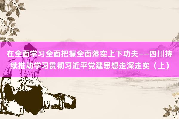 在全面学习全面把握全面落实上下功夫——四川持续推动学习贯彻习近平党建思想走深走实（上）