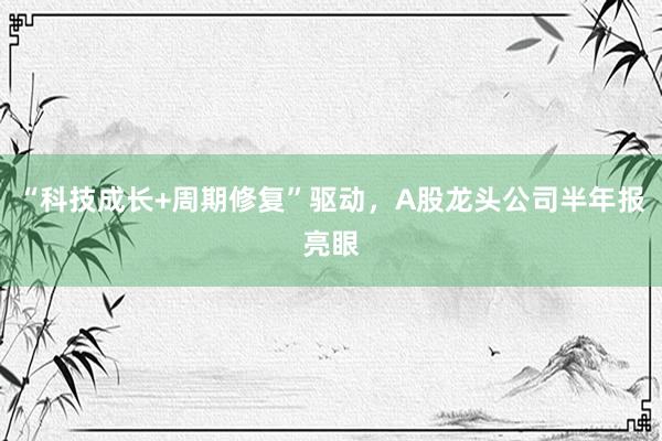 “科技成长+周期修复”驱动，A股龙头公司半年报亮眼