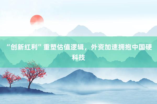 “创新红利”重塑估值逻辑，外资加速拥抱中国硬科技
