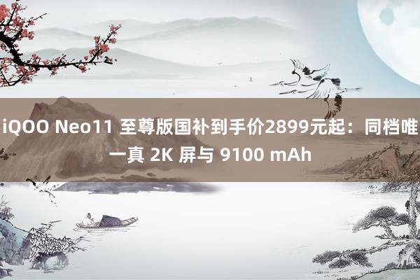 iQOO Neo11 至尊版国补到手价2899元起：同档唯一真 2K 屏与 9100 mAh