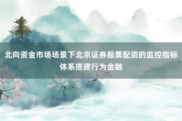 北向资金市场场景下北京证券股票配资的监控指标体系搭建行为金融