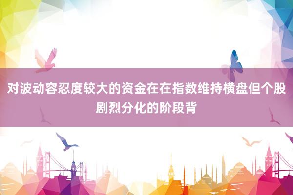 对波动容忍度较大的资金在在指数维持横盘但个股剧烈分化的阶段背