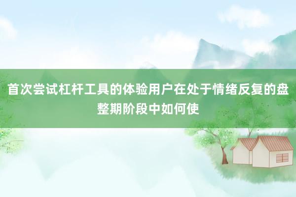 首次尝试杠杆工具的体验用户在处于情绪反复的盘整期阶段中如何使