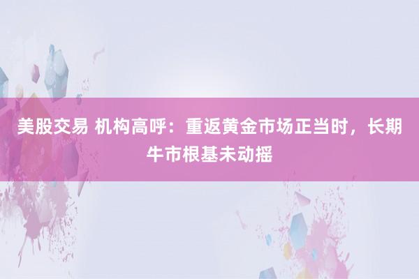 美股交易 机构高呼：重返黄金市场正当时，长期牛市根基未动摇
