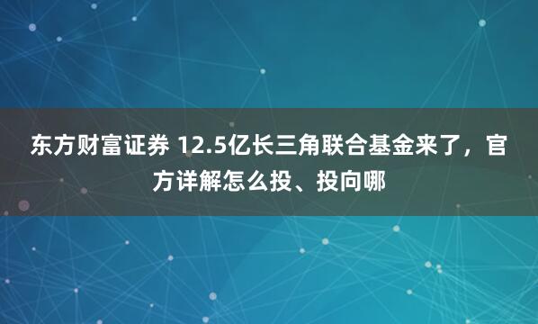 东方财富证券 12.5亿长三角联合基金来了，官方详解怎么投、投向哪