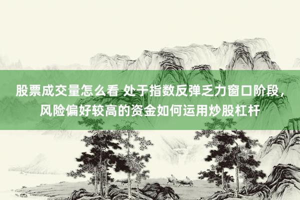 股票成交量怎么看 处于指数反弹乏力窗口阶段，风险偏好较高的资金如何运用炒股杠杆