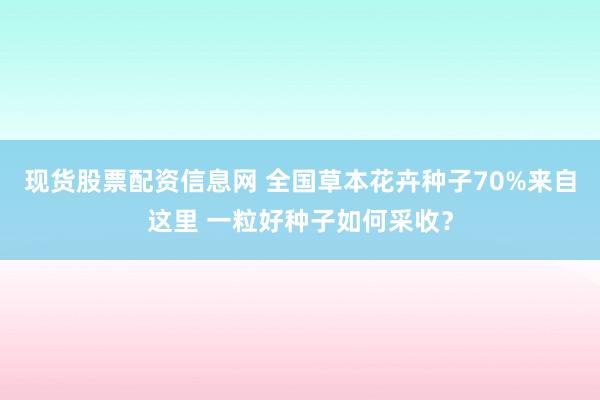 现货股票配资信息网 全国草本花卉种子70%来自这里 一粒好种子如何采收？