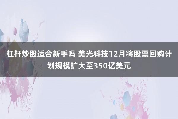 杠杆炒股适合新手吗 美光科技12月将股票回购计划规模扩大至350亿美元